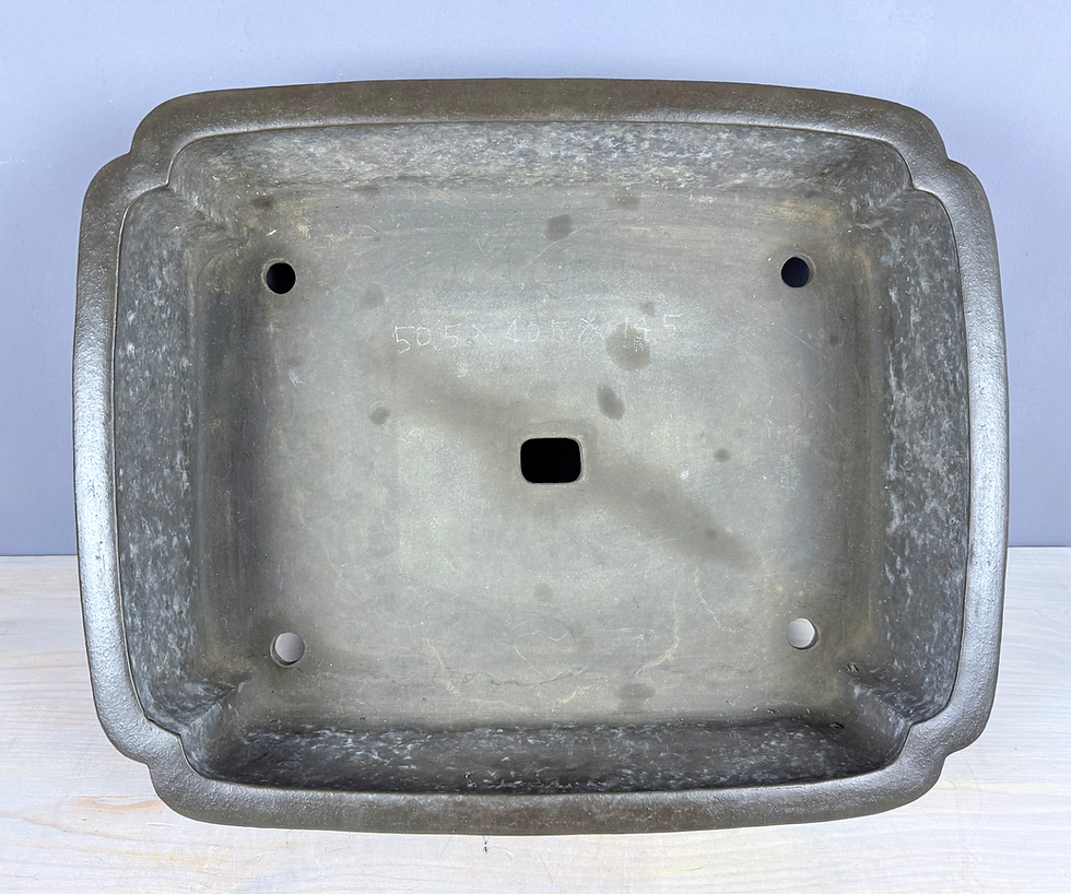 Thumbnail: Tokoname bonsai pot - Shouzan ( Mr. Watanabe Akira ),50,3 x 40,6 x  15