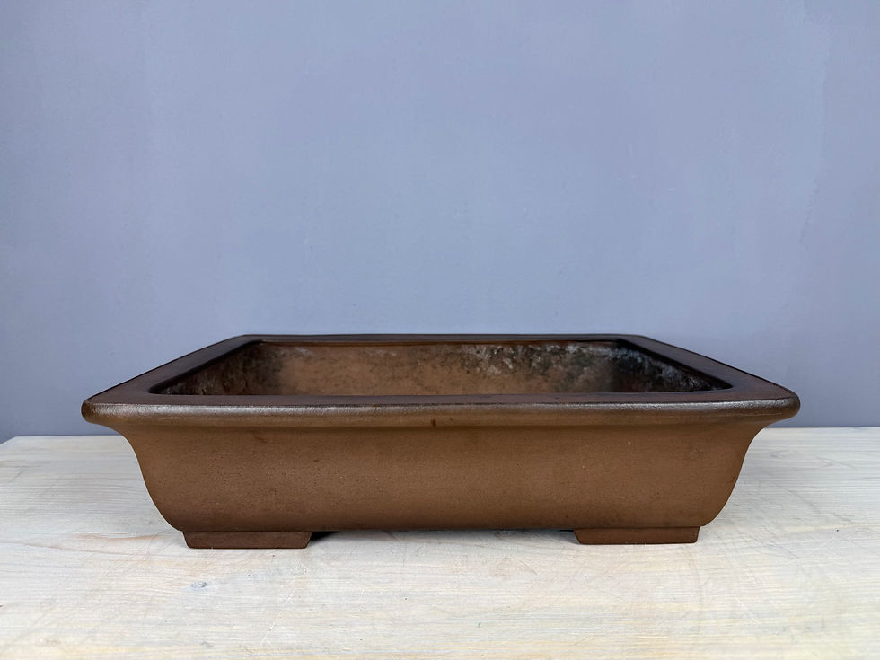 Thumbnail: Tokoname bonsai pot, Reihou (Mr. Matsushita Reiji - master) -  42 x 32 x 11