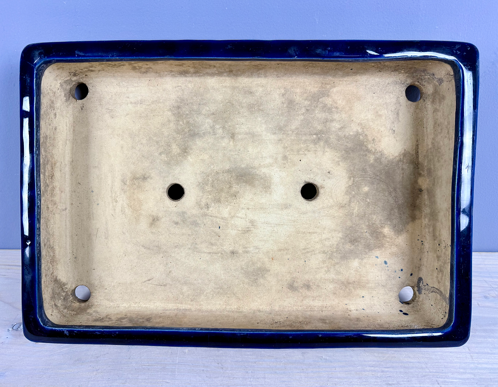 Thumbnail: Tokoname bonsai pot - Yoshimura Shuho - 41,4 x 28,3 x 7,4