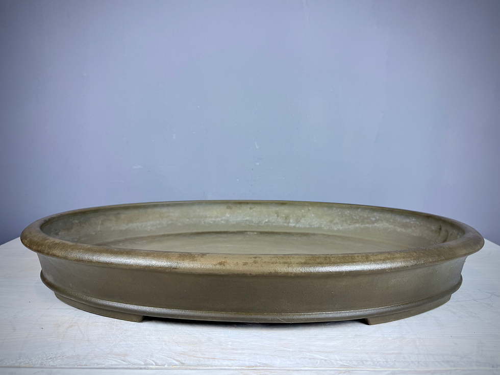 Tokoname bonsai pot - Suishoen Hekisui , 62,8 x 44,3 x 8