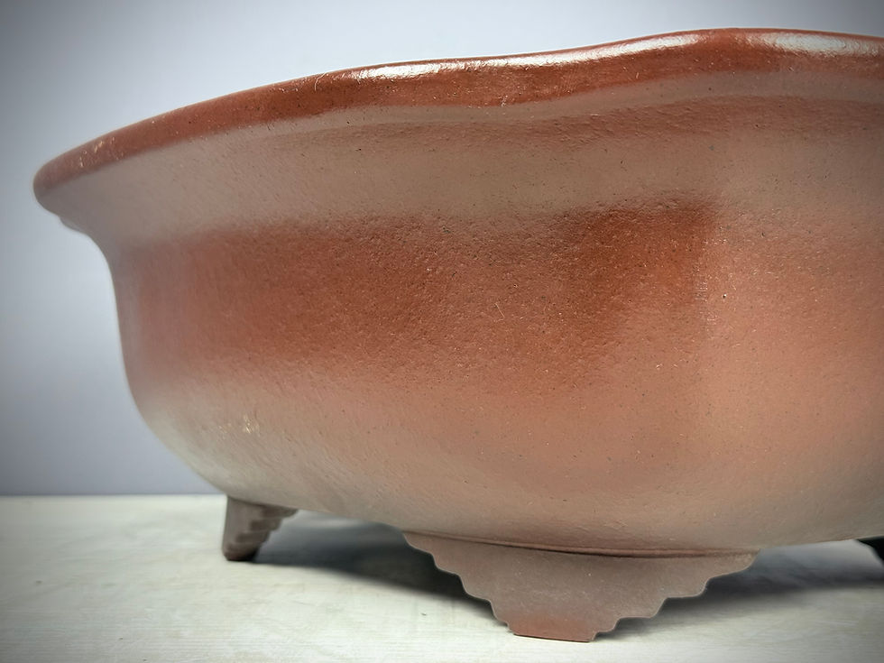Thumbnail: Tokoname bonsai pot - Yamaaki ( Mr. Kataoka Toshio ), 38,3 x 32 x 13,5