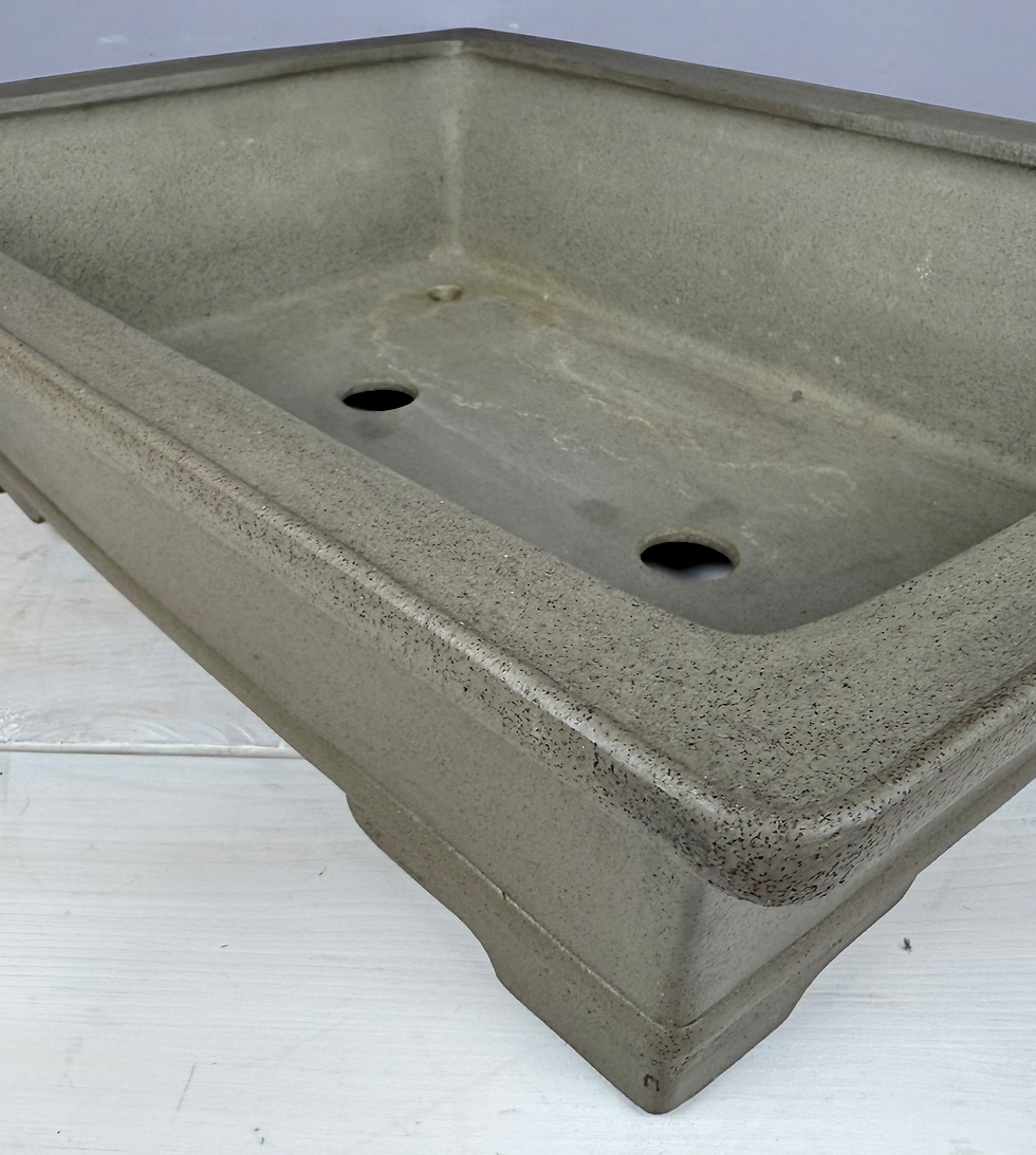 Thumbnail: Tokoname bonsai pot- Suishoen Hekisui - 56,3 x 42,3 x 15,6