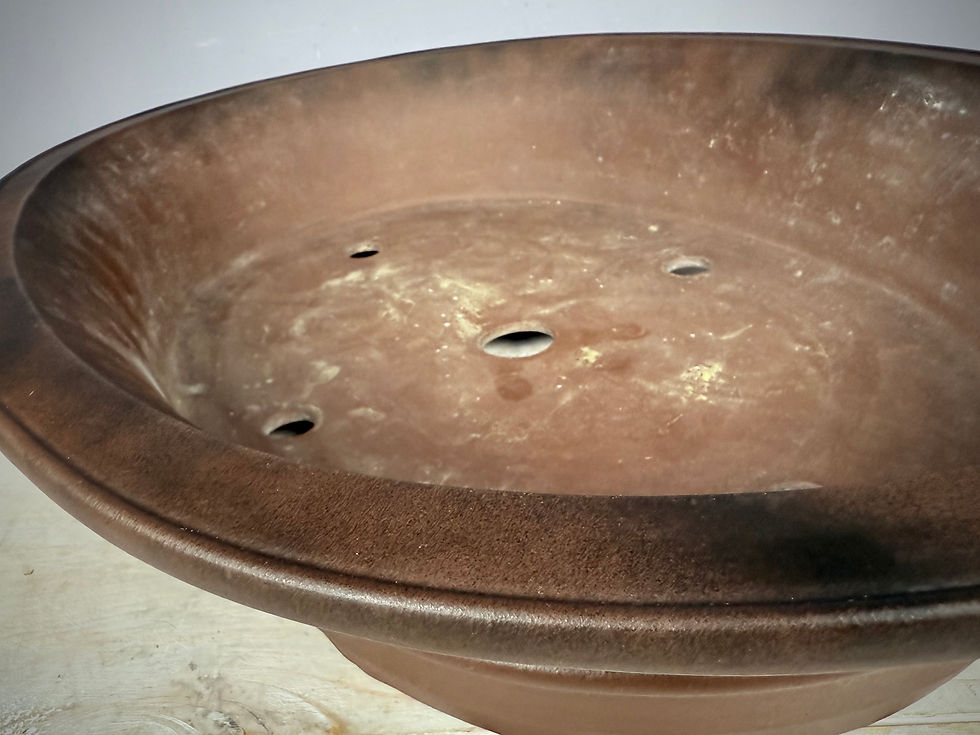 Thumbnail: Chinese bonsai pot - ShuHoZan , 58,5 x 44,7 x 12,3
