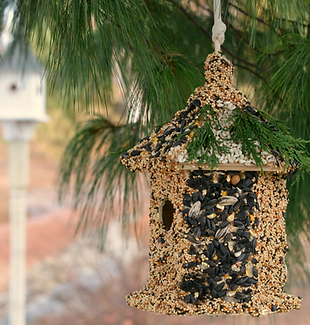 Birdhouse Edit Design.png
