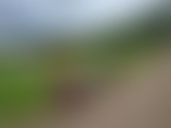 Πρόγραμμα στο αγρόκτημα με αέρα ...αγγλικό!