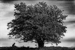 DSC_6140-Edit-Edit-Edit