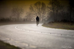 305998_10151270326497248_17443853_n