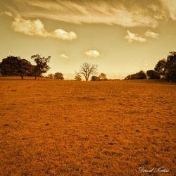 76253_10151217288387248_1523750382_n