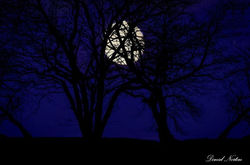 598542_10151271815227248_1782733736_n