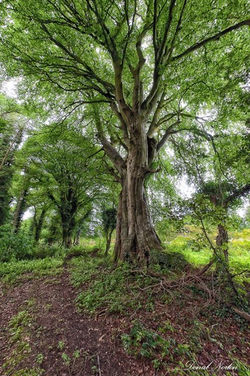 150752_10151451939192248_709814308_n