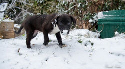 549820_10151499979712248_1374509081_n