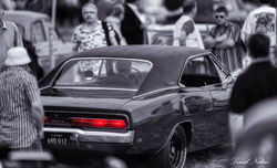 969052_10151753204972248_1200550958_n