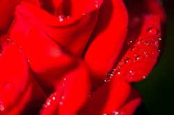 254131_10150215561712248_155336_n