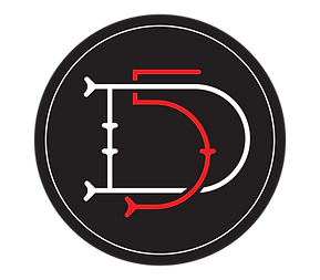 D5 logo