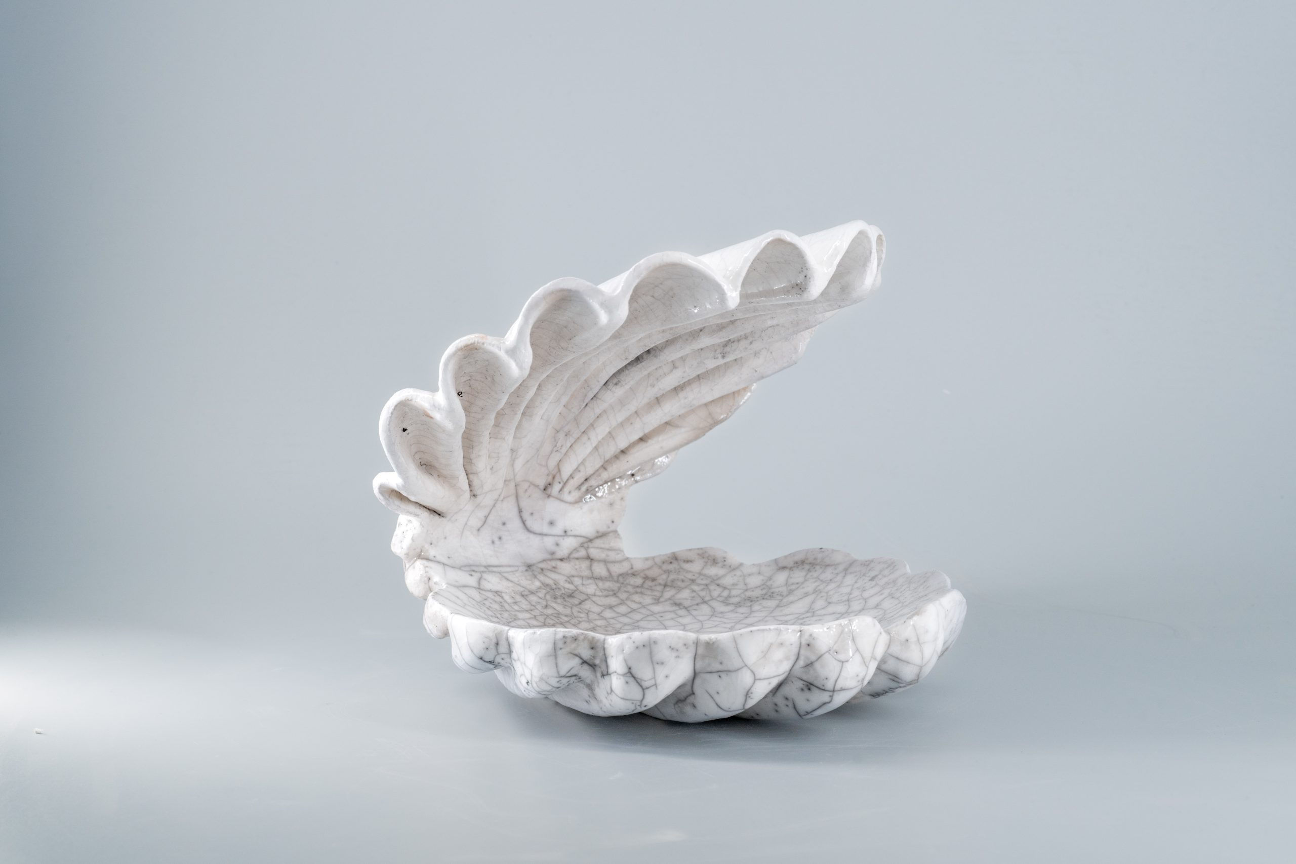 Coquillage