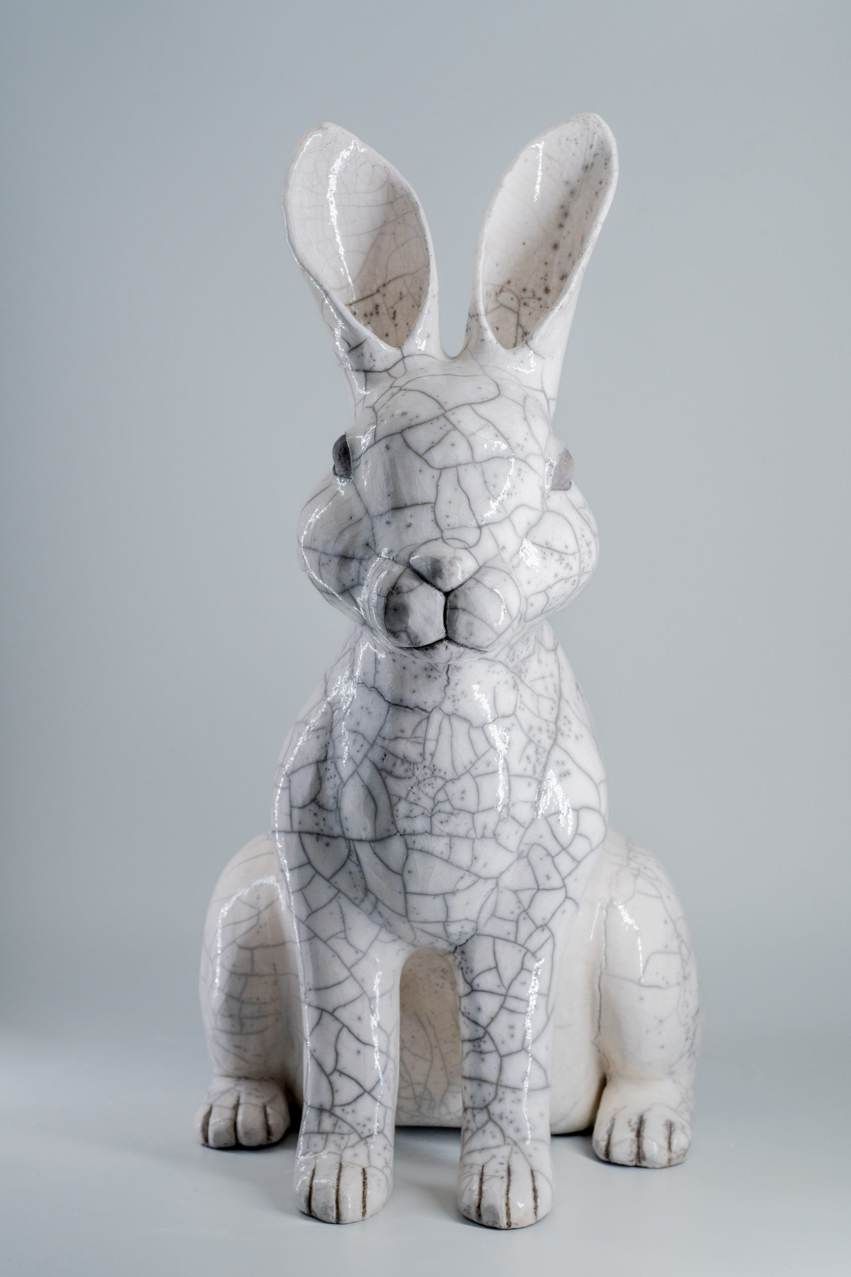 Lapin