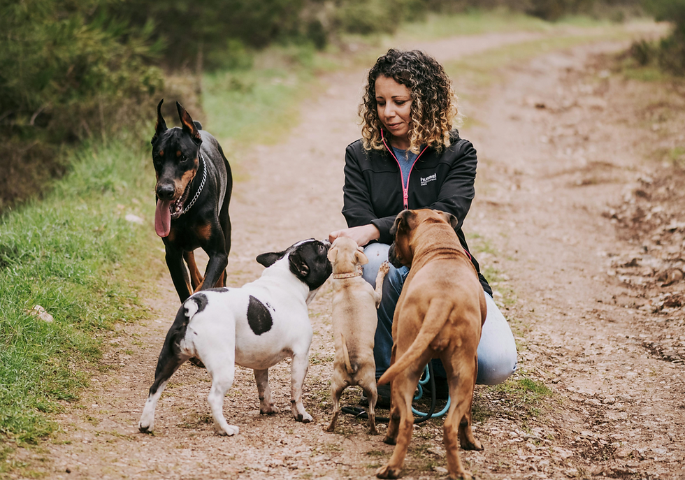 Woman kneels on a dirt path with four dogs, petting them. Woman is at the dog park playing with dogs and puppies such as a doberman, chihuahua, french bulldog, boxer mix and trying to choose the right dog breed for her lifestyle.