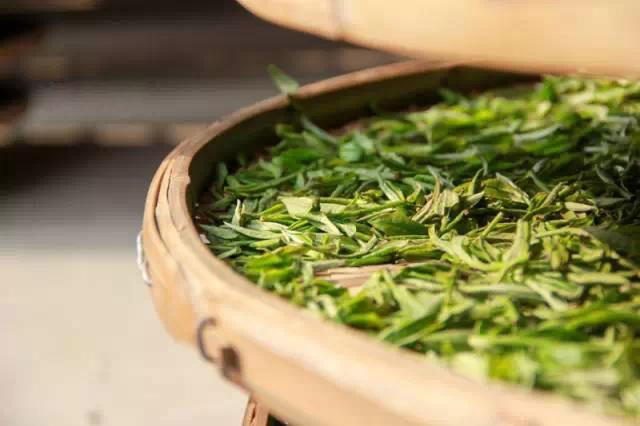 Thumbnail: 2026 Spring Organic High Mountain Baimudan