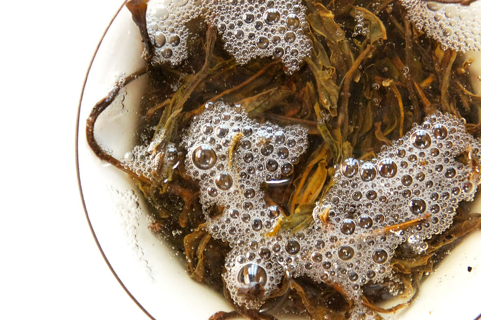 Thumbnail: 2013 Jing Mai Wild Arbor Raw Puerh - Bitter Honey