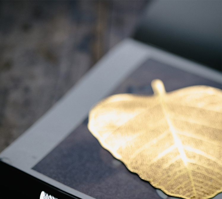 Thumbnail: Bodhi Leaf Tea Strainer