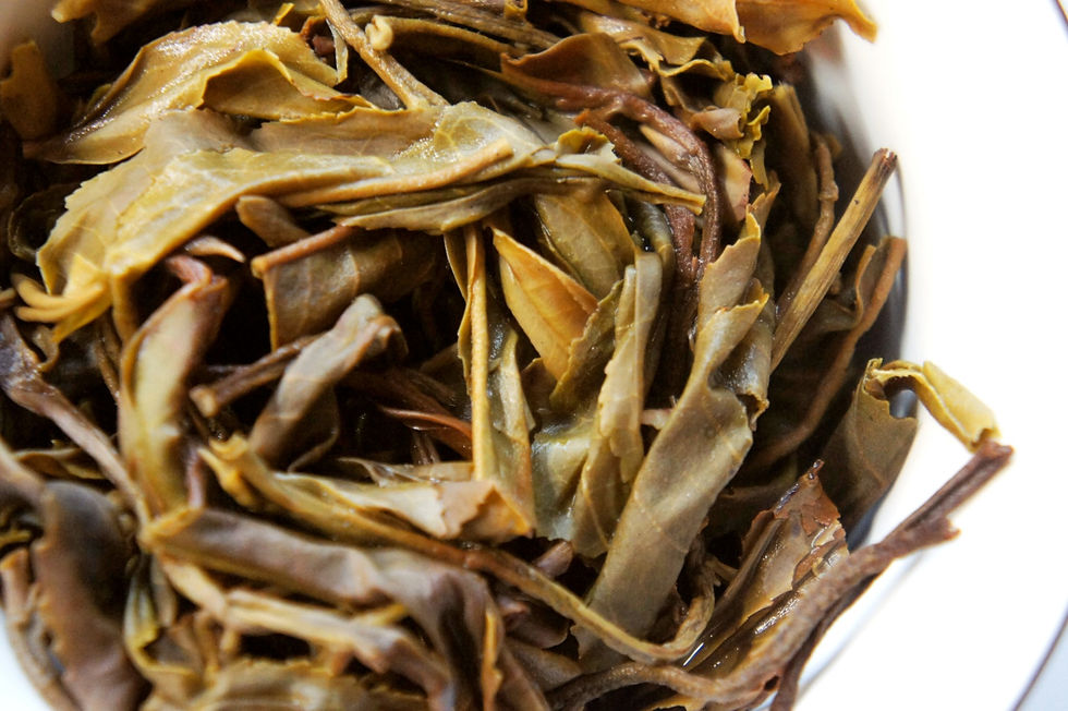 Thumbnail: 2013 Jing Mai Wild Arbor Raw Puerh - Bitter Honey
