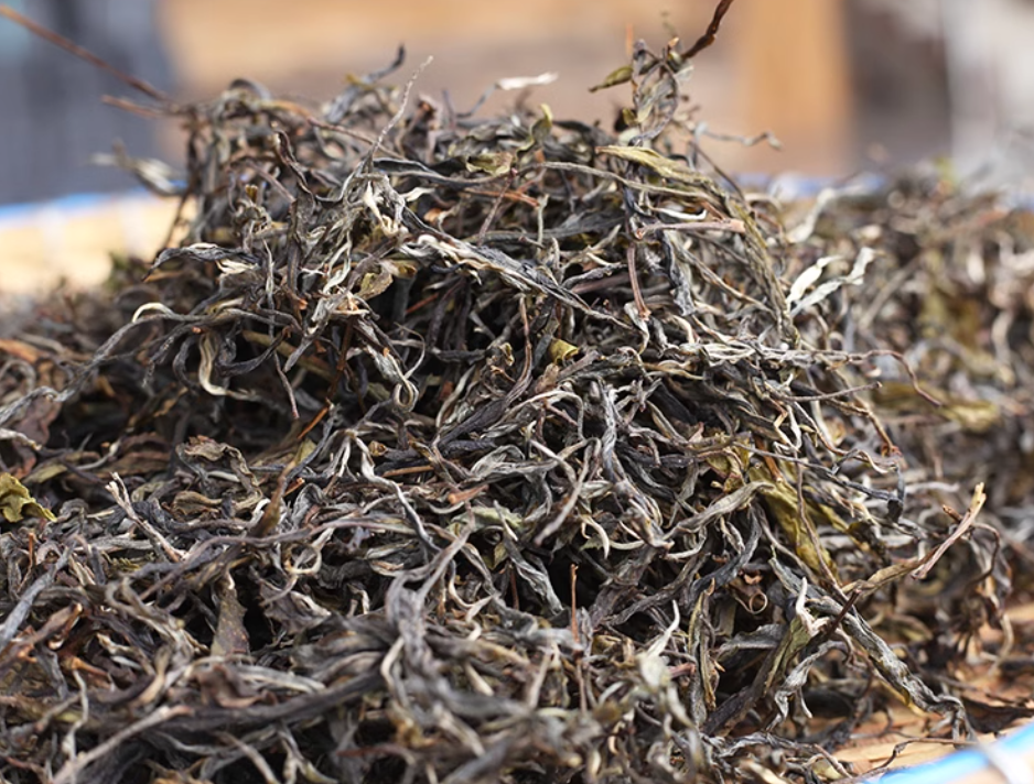 Thumbnail: 2020 Spring Jingmai Mountain Wild Ancient Tree Raw Puerh
