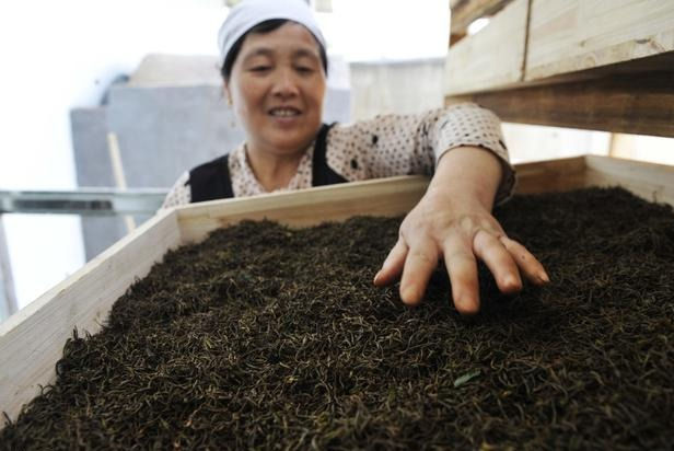 Thumbnail: 2024 Spring First Flush Wudong Premium Almond Dancong Oolong