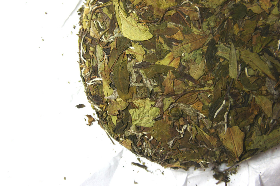 Thumbnail: 2019 High Mountain Baimudan Tea Cake - Golden Mouse