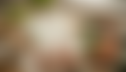 Een persoonlijk voedingsplan op papier