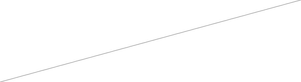 Câble noir 0,5 (format cm) copie.png