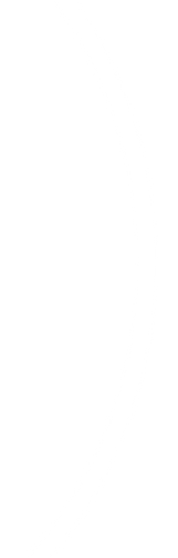 bow