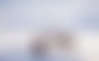 Berlinale: Ein Gesamtkunstwerk aus Sápmi, Grönland