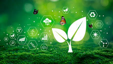 Klimarisikoanalyse: Warum sie für Unternehmen immer wichtiger wird