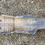 Thumbnail: KZ650B2 Inner Fender (KZ550, KZ650, KZ750, KZ900, KZ1000)