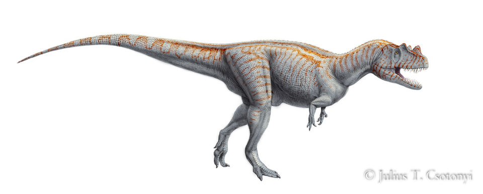 Ceratosaurus by Julius Csotonyi