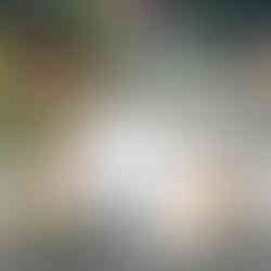 combat base leeds brazilian jiu-jitsu team at the empire grappling yorkshire open