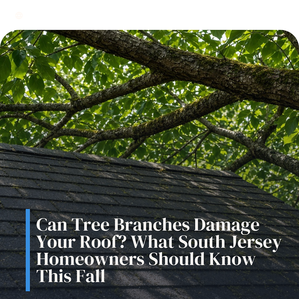 Can Tree Branches Damage Your Roof? What South Jersey Homeowners Should Know This Fall