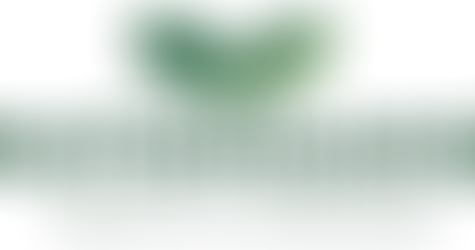 Antemisaris Group of Companies: Smart Irrigation Innovation for Sustainable Agriculture