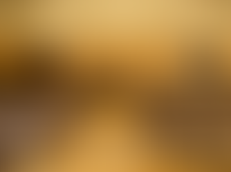 NextGenBioPest at VIII Simposio Internacional de Viçosa!