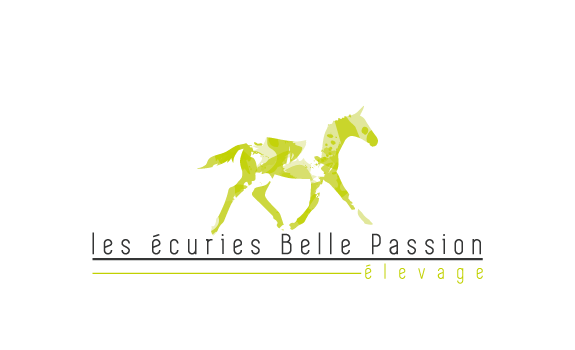 Logo les écuries Belle Passion - Élevage