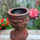 Thumbnail: Julius Ceasar Planter