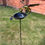 Thumbnail: Dragon Bird Bath Stake