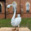 Thumbnail: Large Swan Sculpture