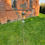 Thumbnail: Verdigris Cockerel Weathervane