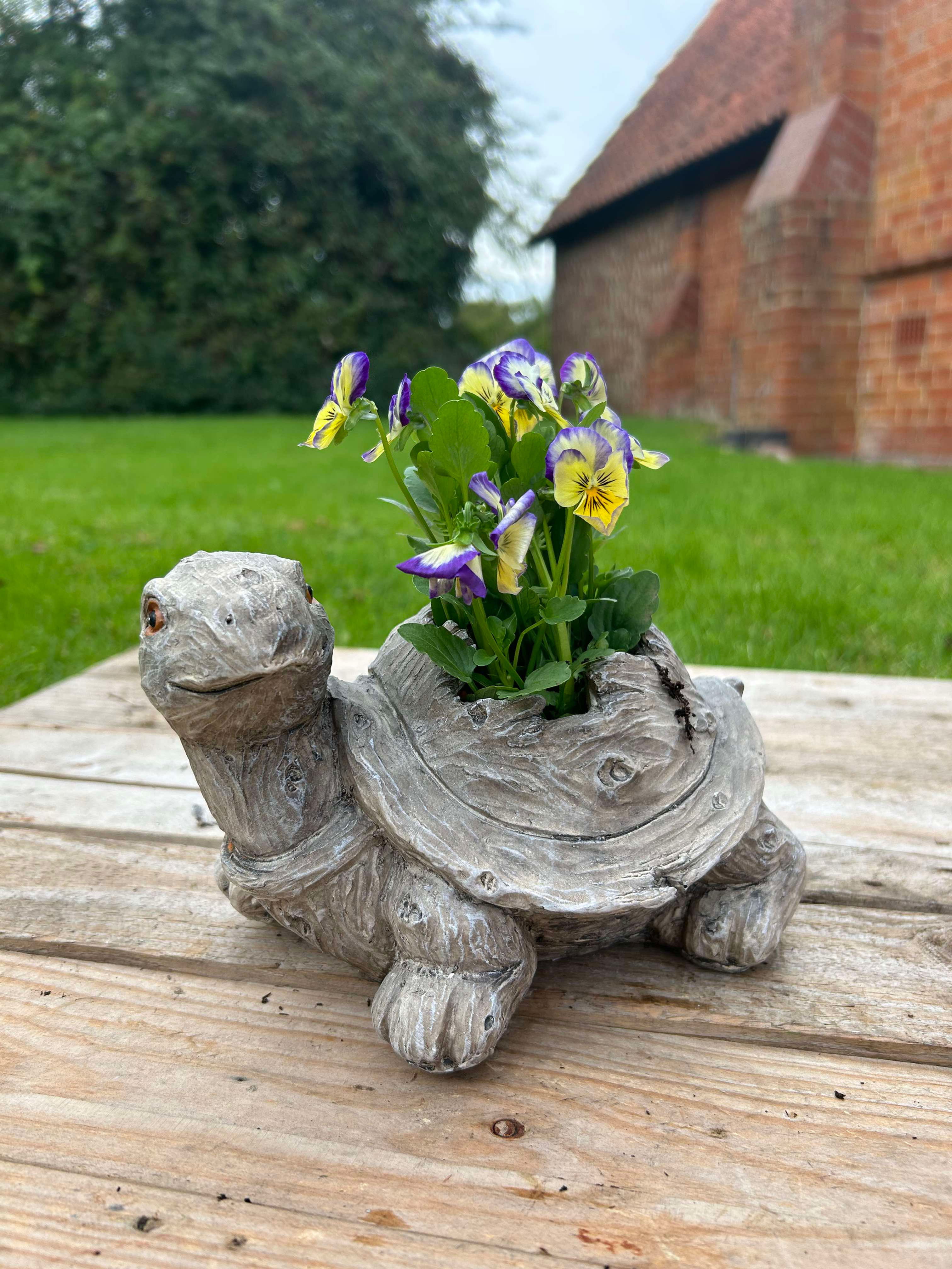 Tony the Tortoise Planter