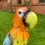 Thumbnail: Tropical Parrot Stake