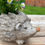 Thumbnail: Hetty The Hedgehog Planter