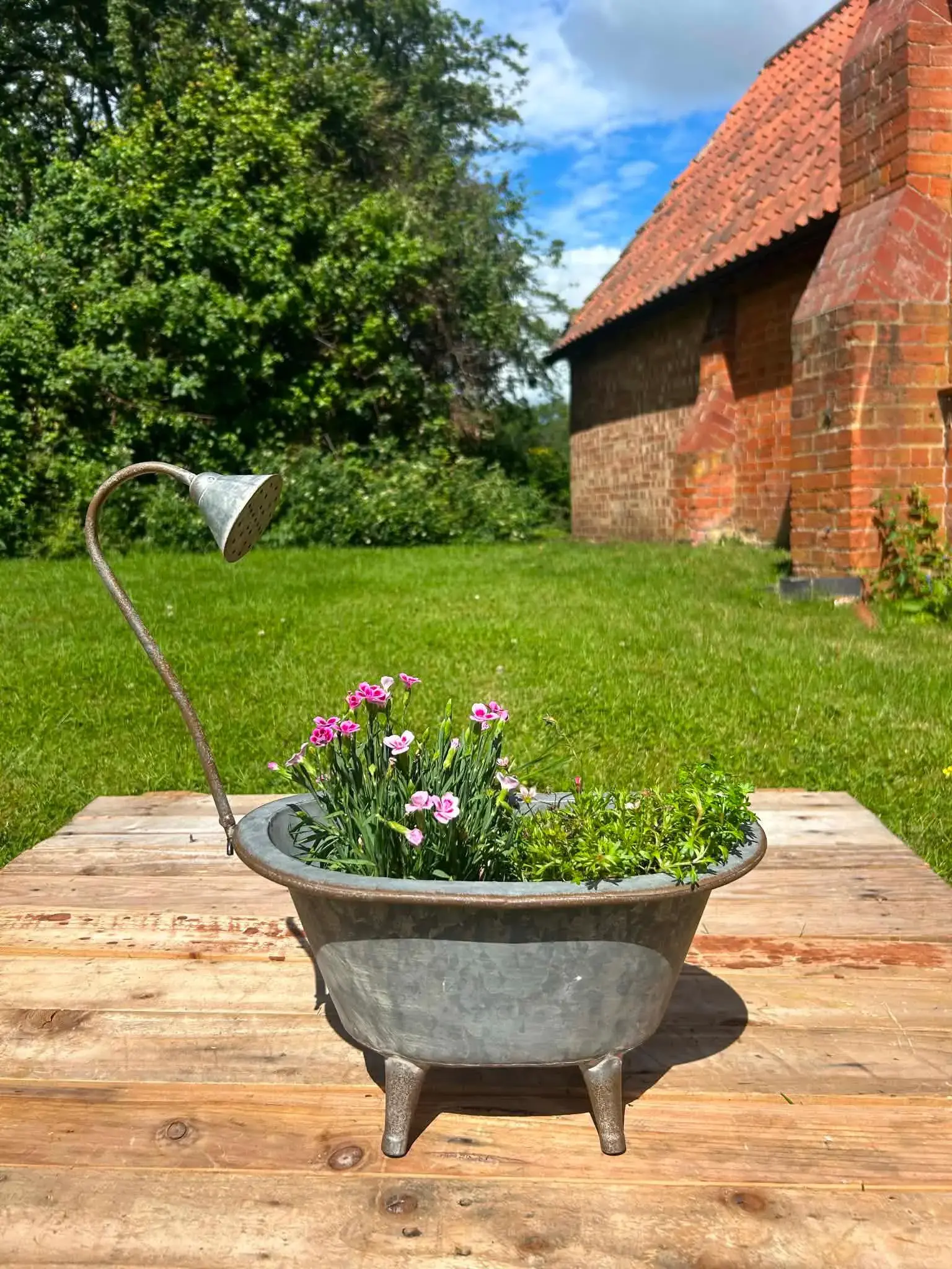 Medium Bathtub Planter With Feet