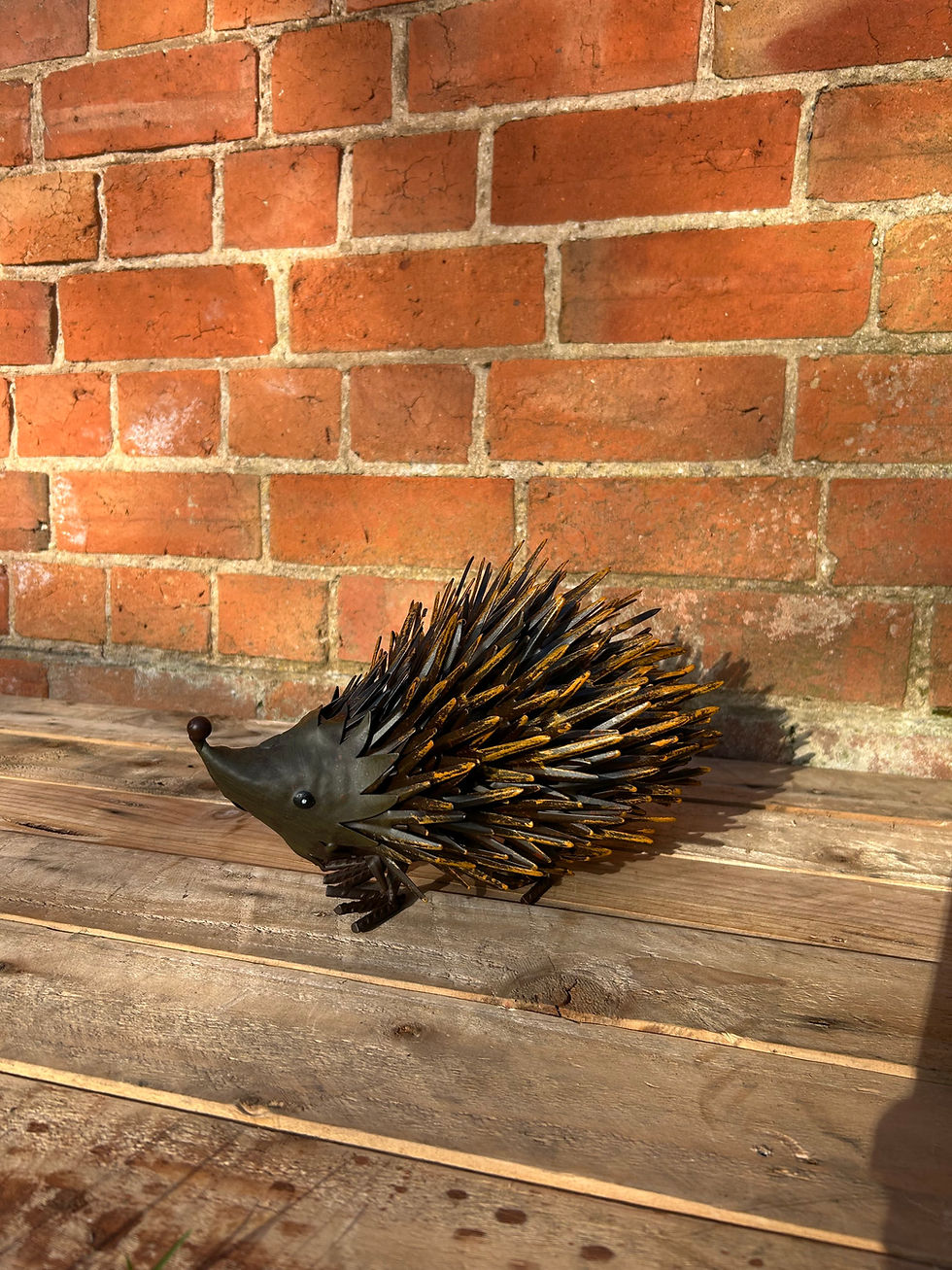 Thumbnail: Hedgehog