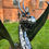 Thumbnail: Extra Large Black Dragon Sculpture